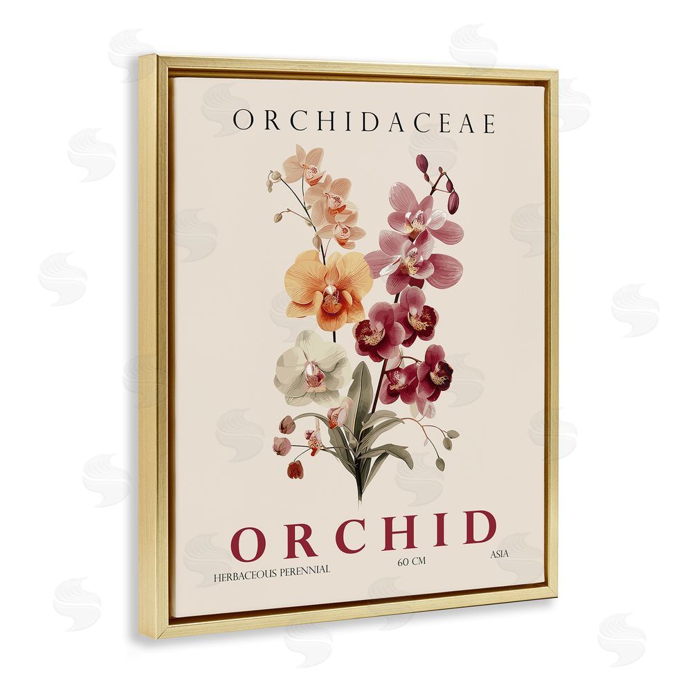 Christopher Giampietro Natural Orchid Bundle Gold Floating Frame Canvas Wall Art Print