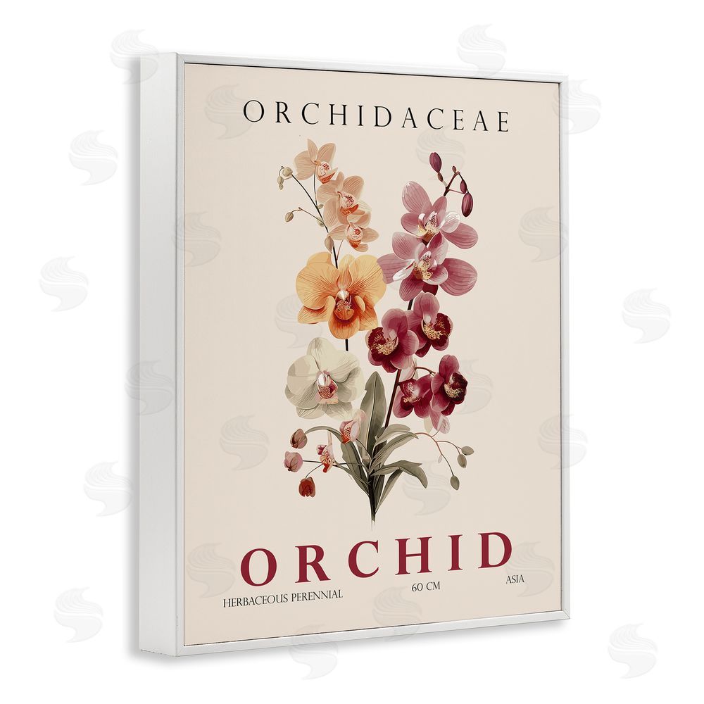Christopher Giampietro Natural Orchid Bundle White Framed Giclee Wall Art Print