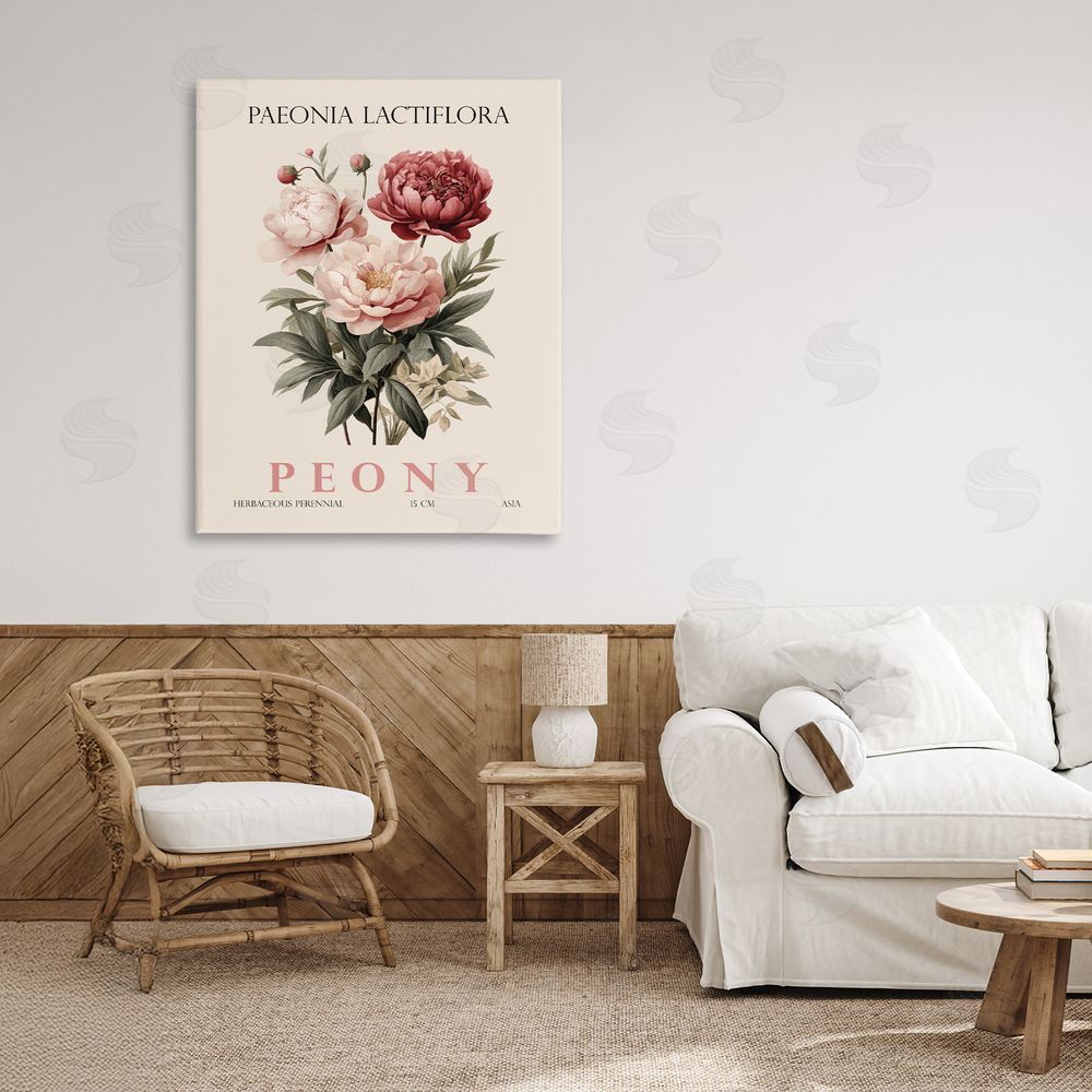 Christopher Giampietro Natural Peony Bundle Stretched Canvas Wall Art in Room