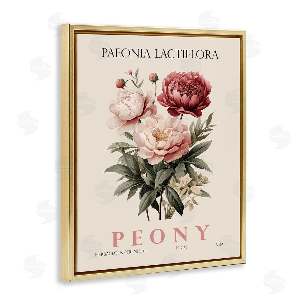 Christopher Giampietro Natural Peony Bundle Gold Floating Frame Canvas Wall Art Print