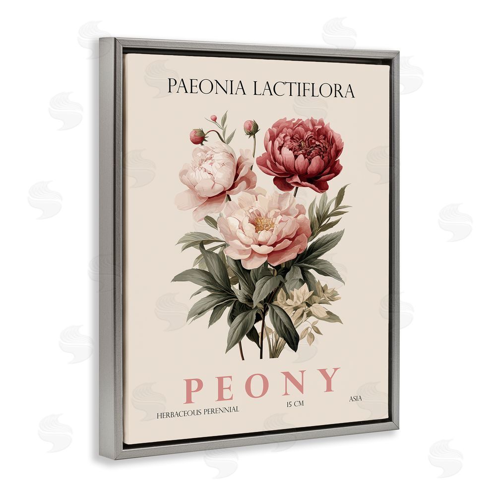 Christopher Giampietro Natural Peony Bundle Gray Floating Frame Canvas Wall Art Print
