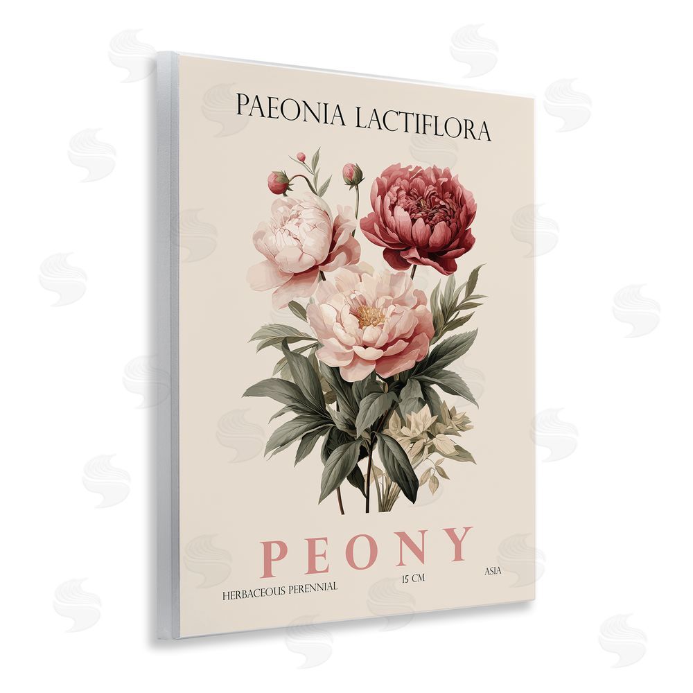Christopher Giampietro Natural Peony Bundle Wall Plaque Art Print