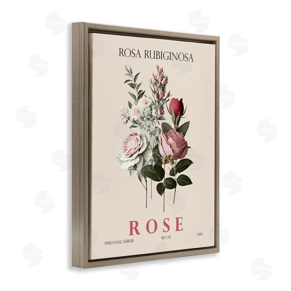 Christopher Giampietro Natural Rose Bundle Brown Floating Frame Canvas Wall Art Print