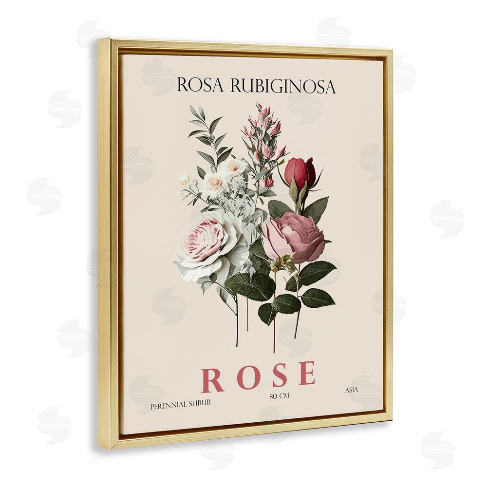 Christopher Giampietro Natural Rose Bundle Gold Floating Frame Canvas Wall Art Print