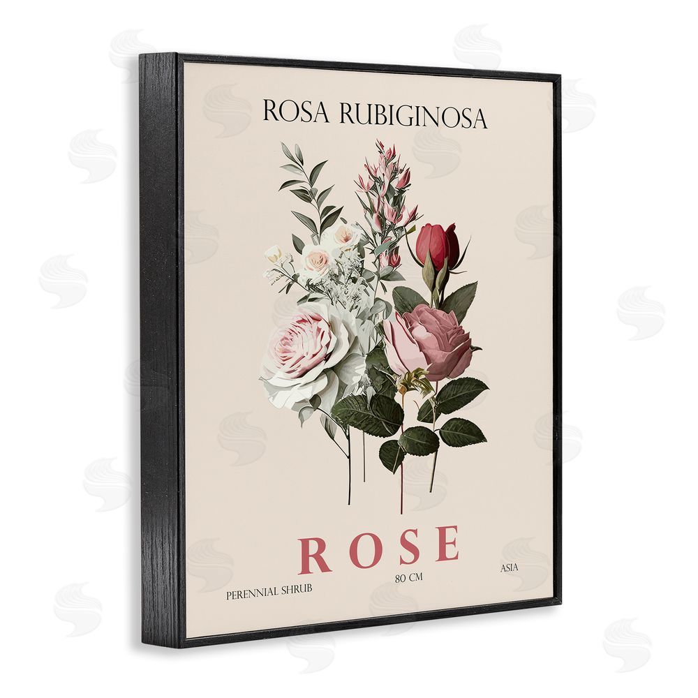 Christopher Giampietro Natural Rose Bundle Black Framed Giclee Wall Art Print