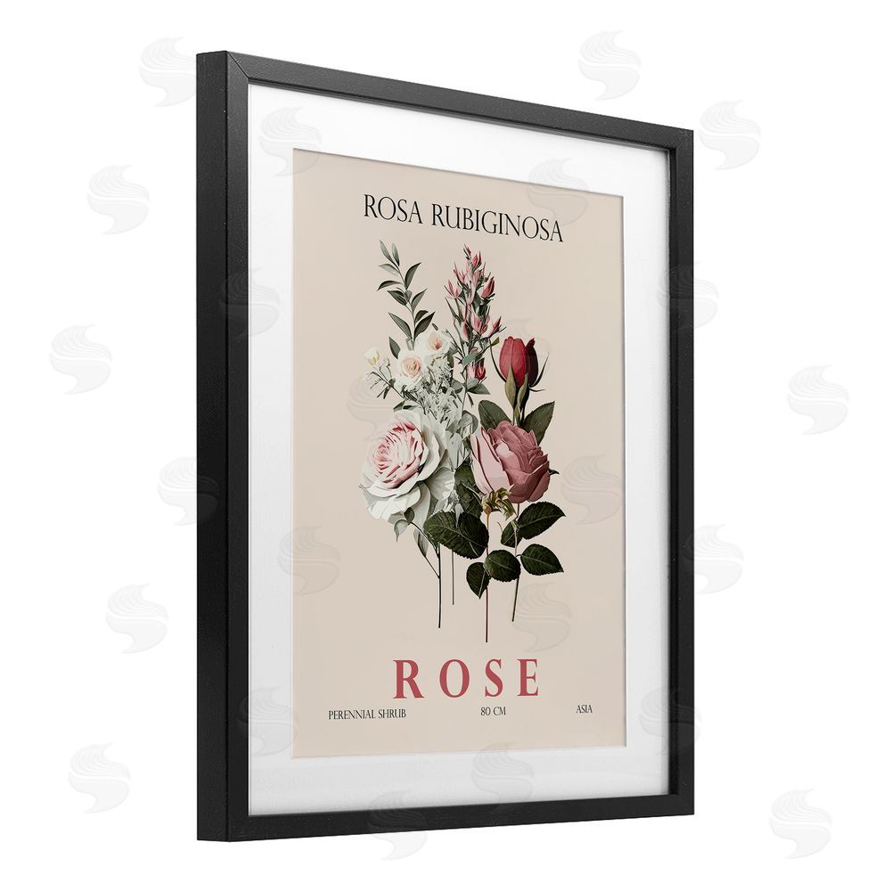 Christopher Giampietro Natural Rose Bundle Black Framed Print Under Glass Wall Art