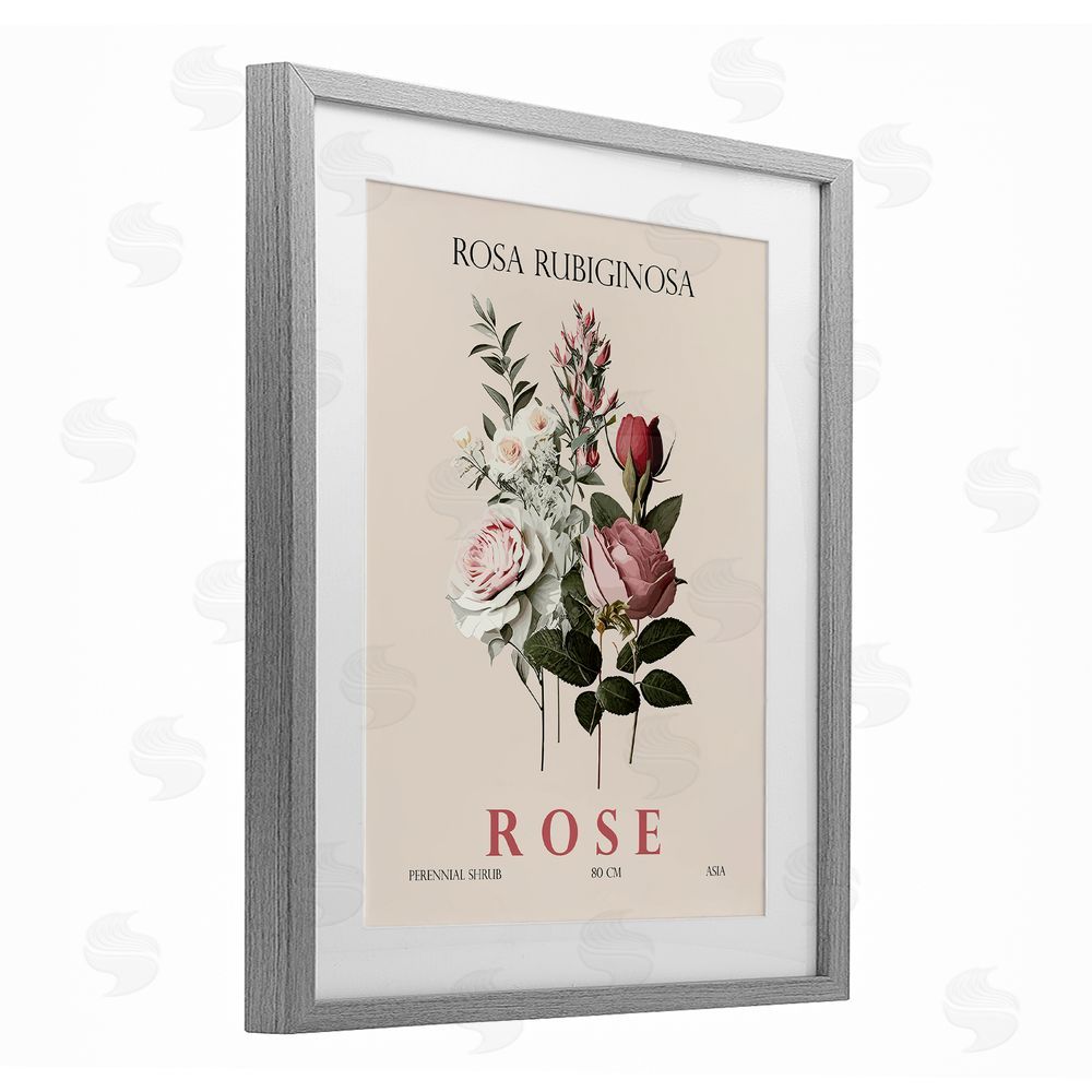 Christopher Giampietro Natural Rose Bundle Gray Framed Print Under Glass Wall Art