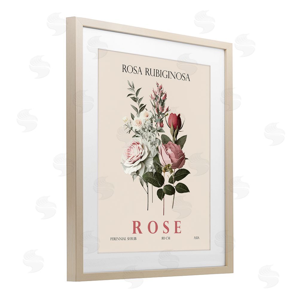 Christopher Giampietro Natural Rose Bundle Birch Framed Print Under Glass Wall Art