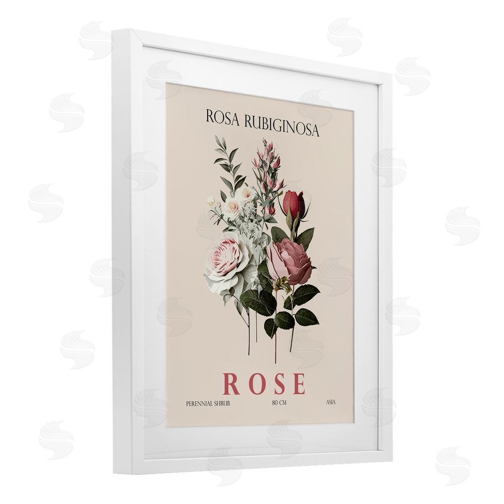 Christopher Giampietro Natural Rose Bundle White Framed Print Under Glass Wall Art