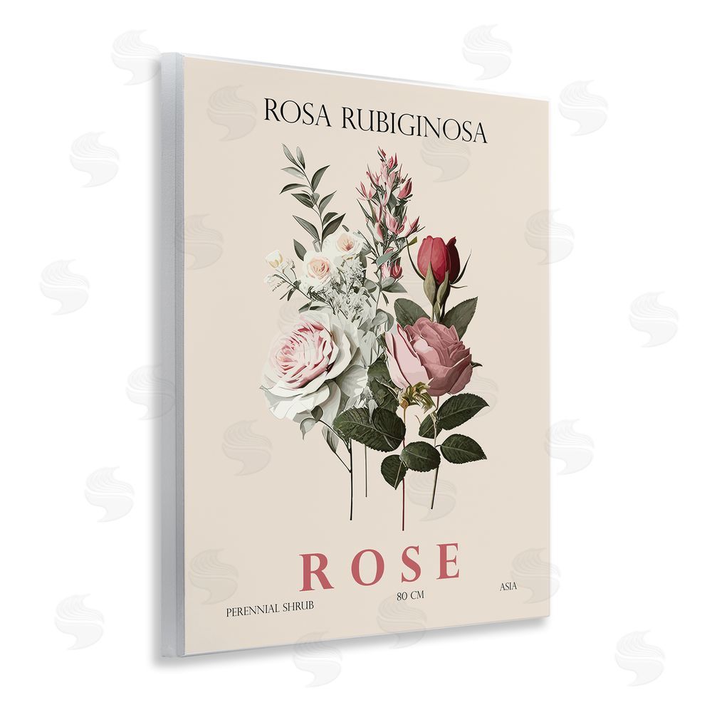 Christopher Giampietro Natural Rose Bundle Wall Plaque Art Print