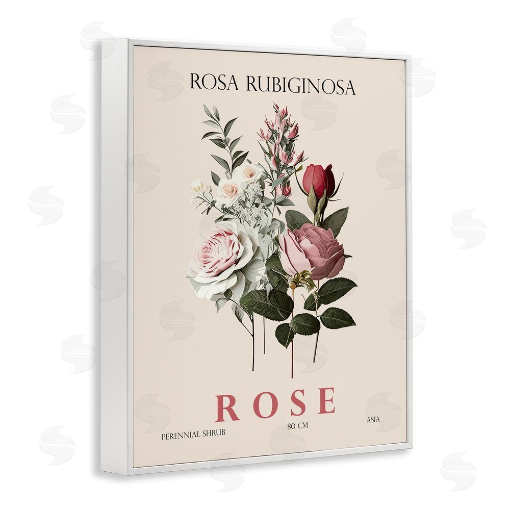 Christopher Giampietro Natural Rose Bundle White Framed Giclee Wall Art Print