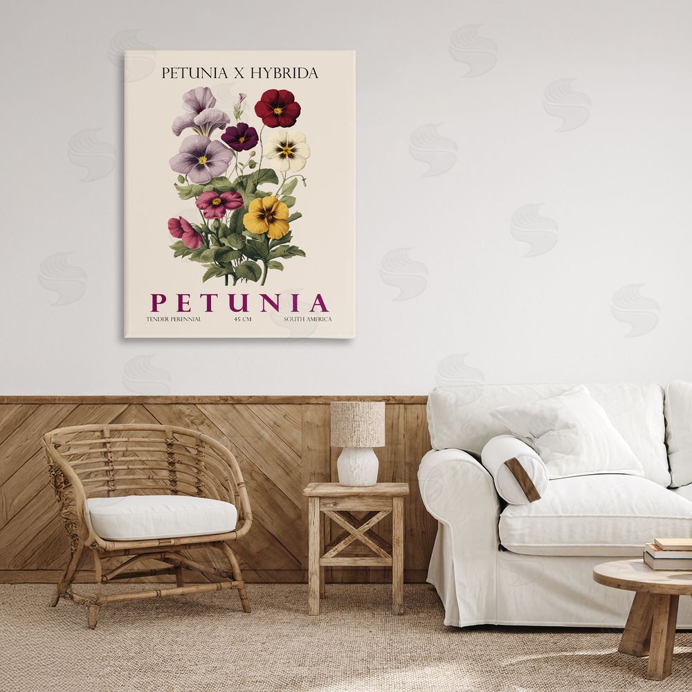 Christopher Giampietro Natural Petunia Bundle Stretched Canvas Wall Art in Room