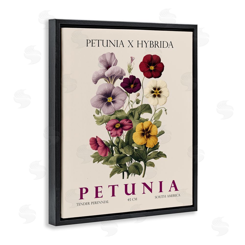 Christopher Giampietro Natural Petunia Bundle Black Floating Frame Canvas Wall Art Print