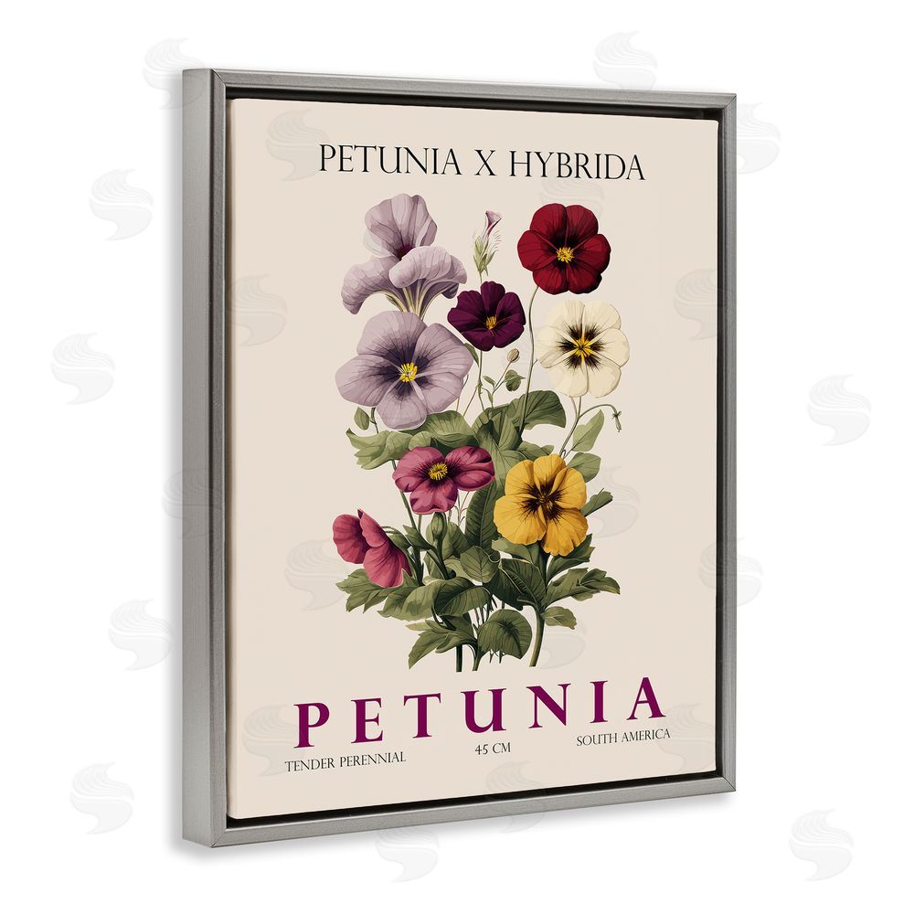 Christopher Giampietro Natural Petunia Bundle Gray Floating Frame Canvas Wall Art Print