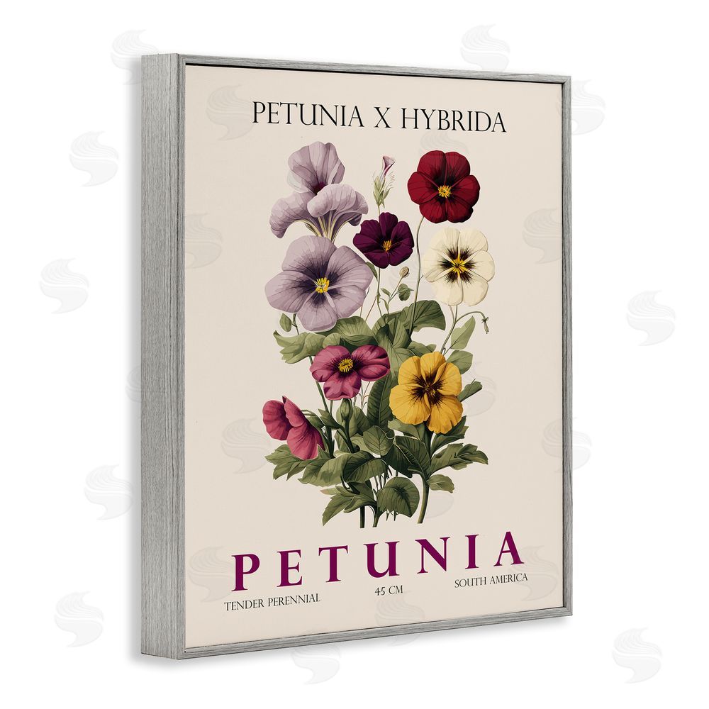 Christopher Giampietro Natural Petunia Bundle Gray Framed Giclee Wall Art Print