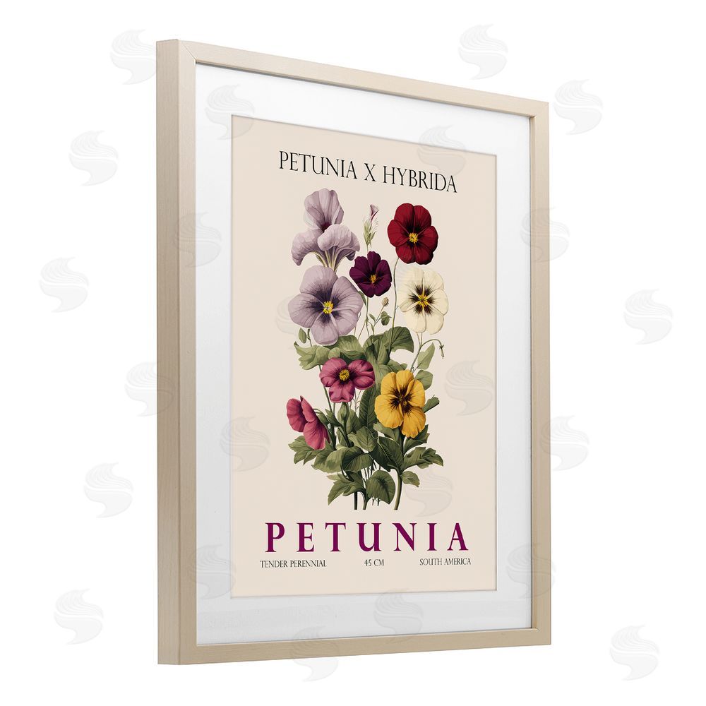 Christopher Giampietro Natural Petunia Bundle Birch Framed Print Under Glass Wall Art