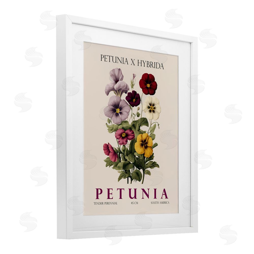 Christopher Giampietro Natural Petunia Bundle White Framed Print Under Glass Wall Art