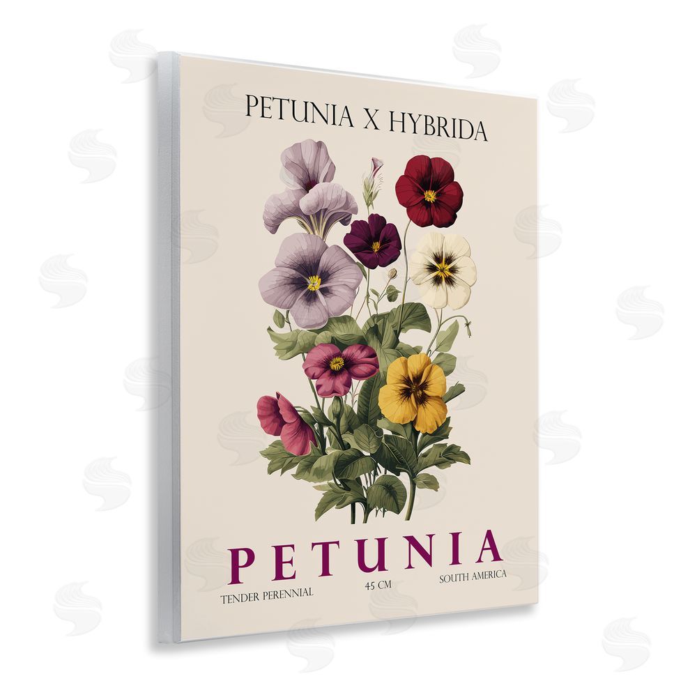Christopher Giampietro Natural Petunia Bundle Wall Plaque Art Print