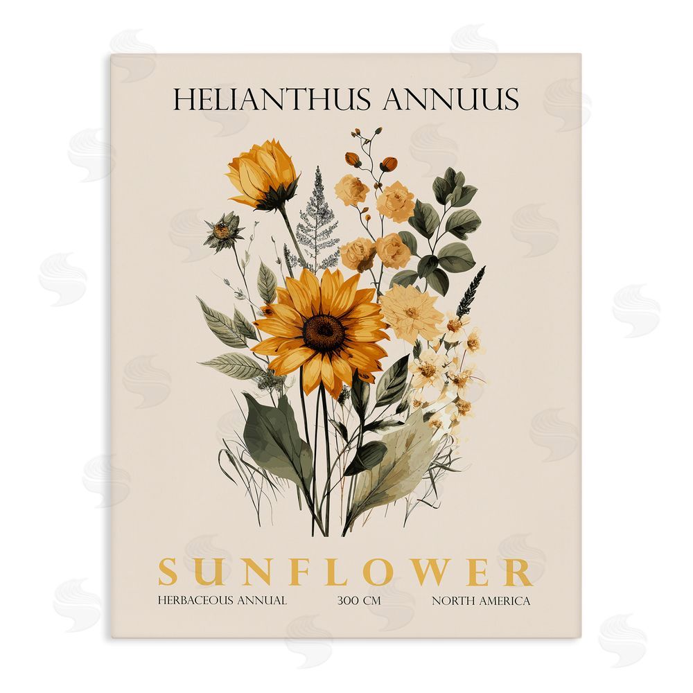 Christopher Giampietro Natural Sunflower Bundle Stretched Canvas Wall Art