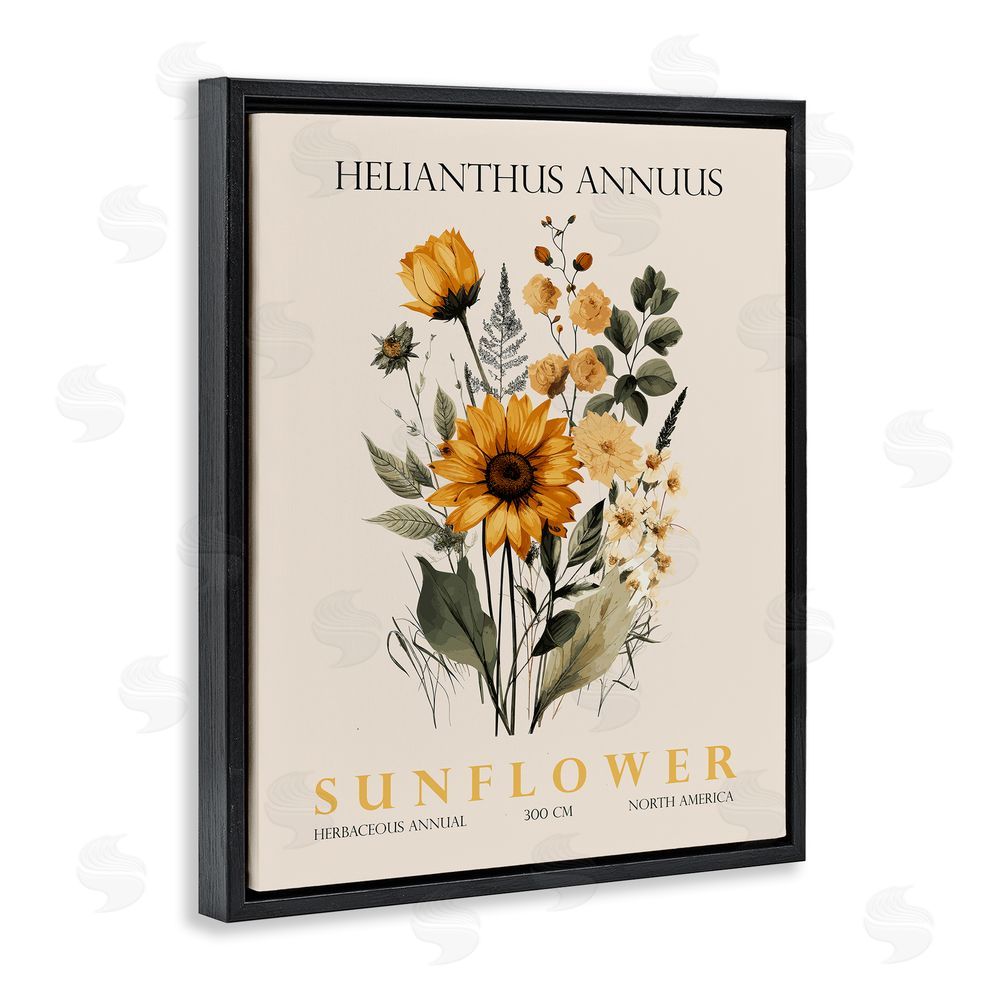 Christopher Giampietro Natural Sunflower Bundle Black Floating Frame Canvas Wall Art Print