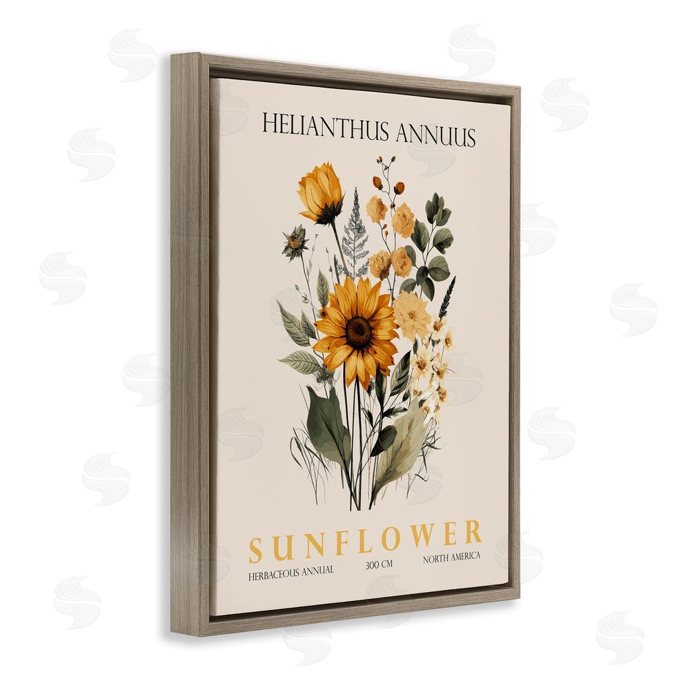 Christopher Giampietro Natural Sunflower Bundle Brown Floating Frame Canvas Wall Art Print