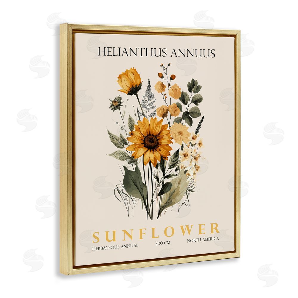 Christopher Giampietro Natural Sunflower Bundle Gold Floating Frame Canvas Wall Art Print
