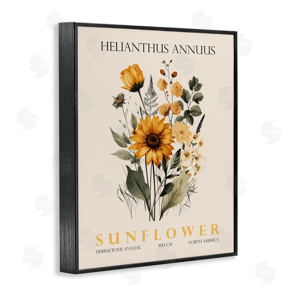 Christopher Giampietro Natural Sunflower Bundle Black Framed Giclee Wall Art Print