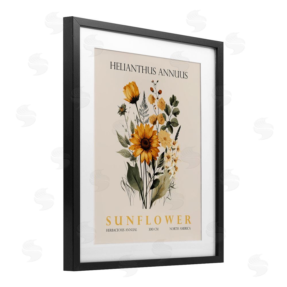 Christopher Giampietro Natural Sunflower Bundle Black Framed Print Under Glass Wall Art