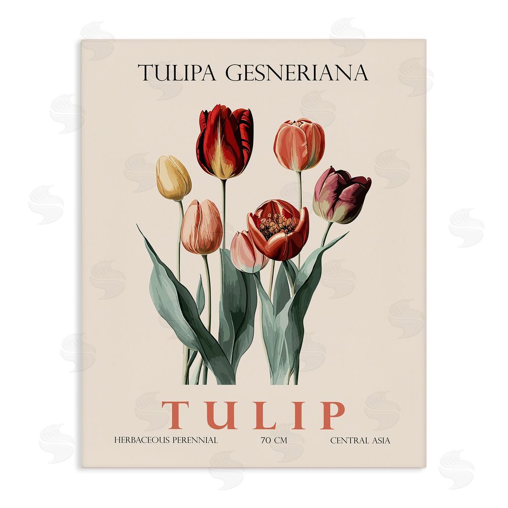 Christopher Giampietro Natural Tulip Bundle Stretched Canvas Wall Art