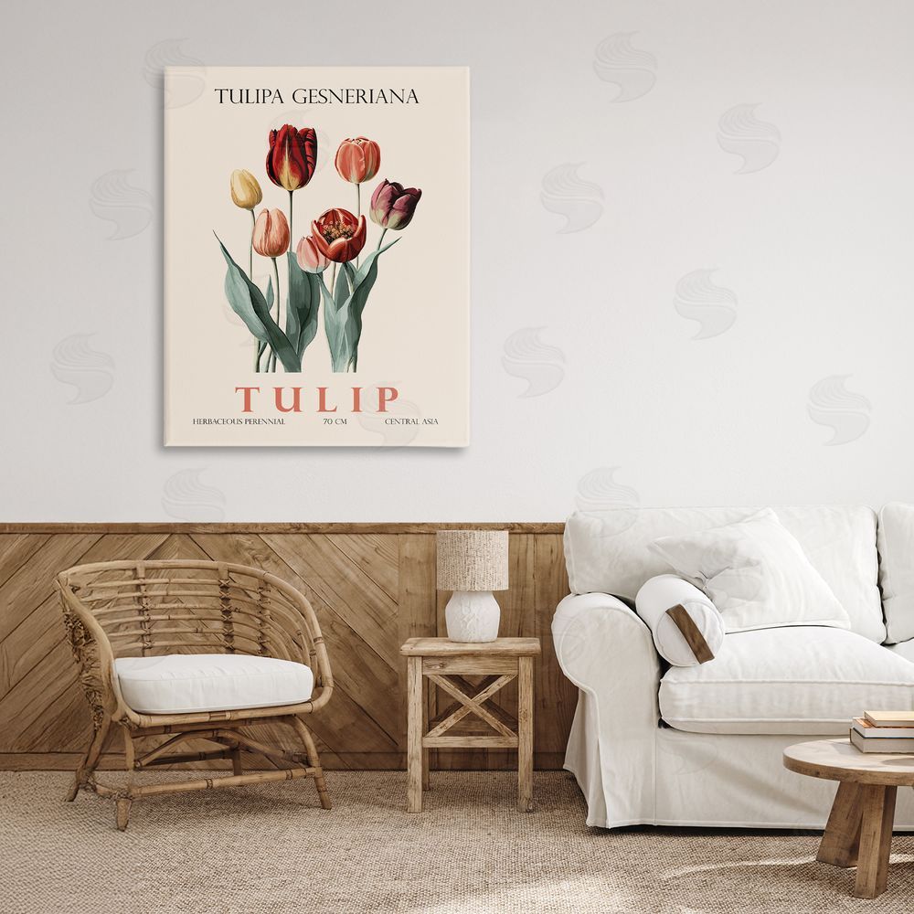 Christopher Giampietro Natural Tulip Bundle Stretched Canvas Wall Art in Room