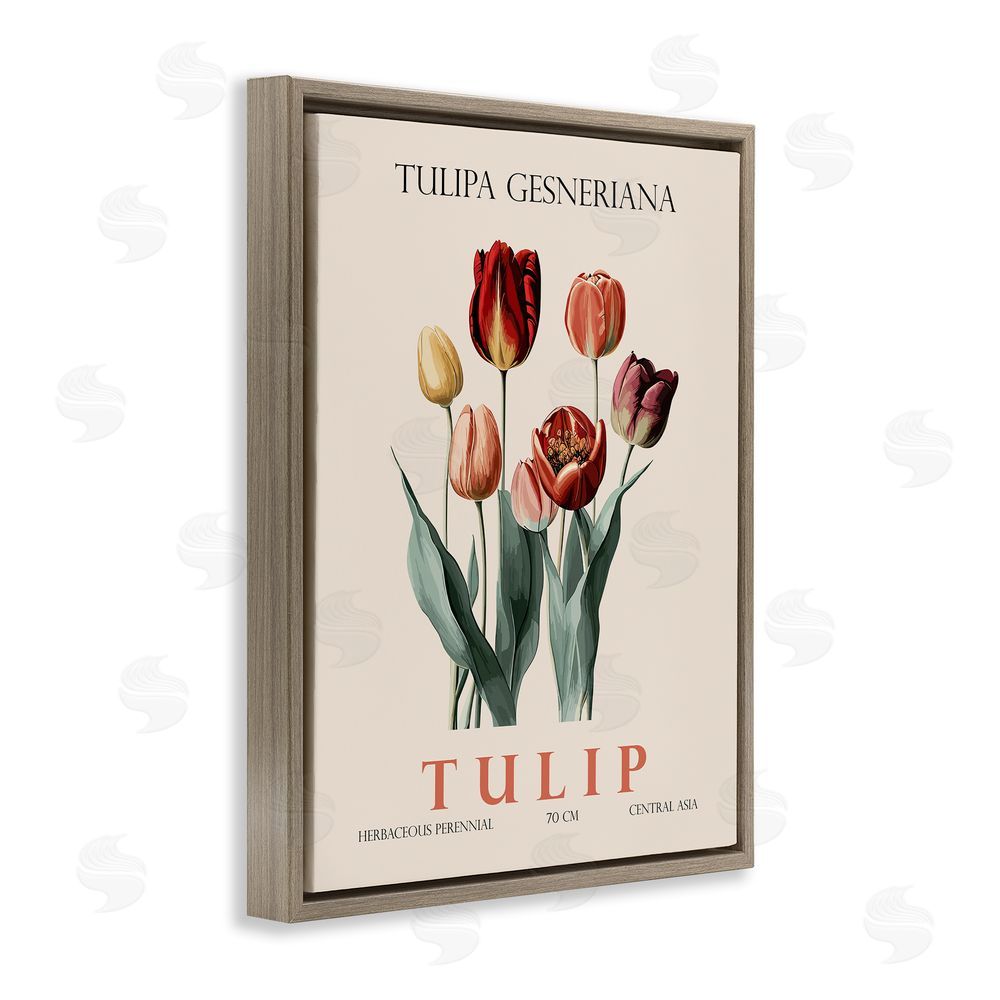 Christopher Giampietro Natural Tulip Bundle Brown Floating Frame Canvas Wall Art Print