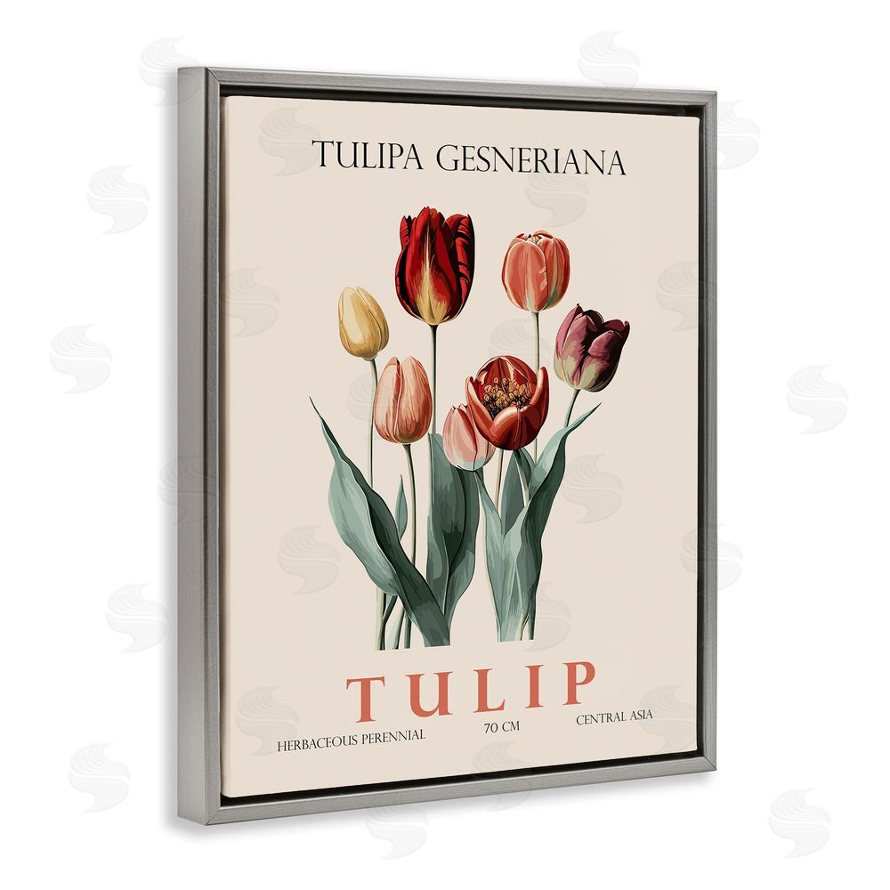 Christopher Giampietro Natural Tulip Bundle Gray Floating Frame Canvas Wall Art Print