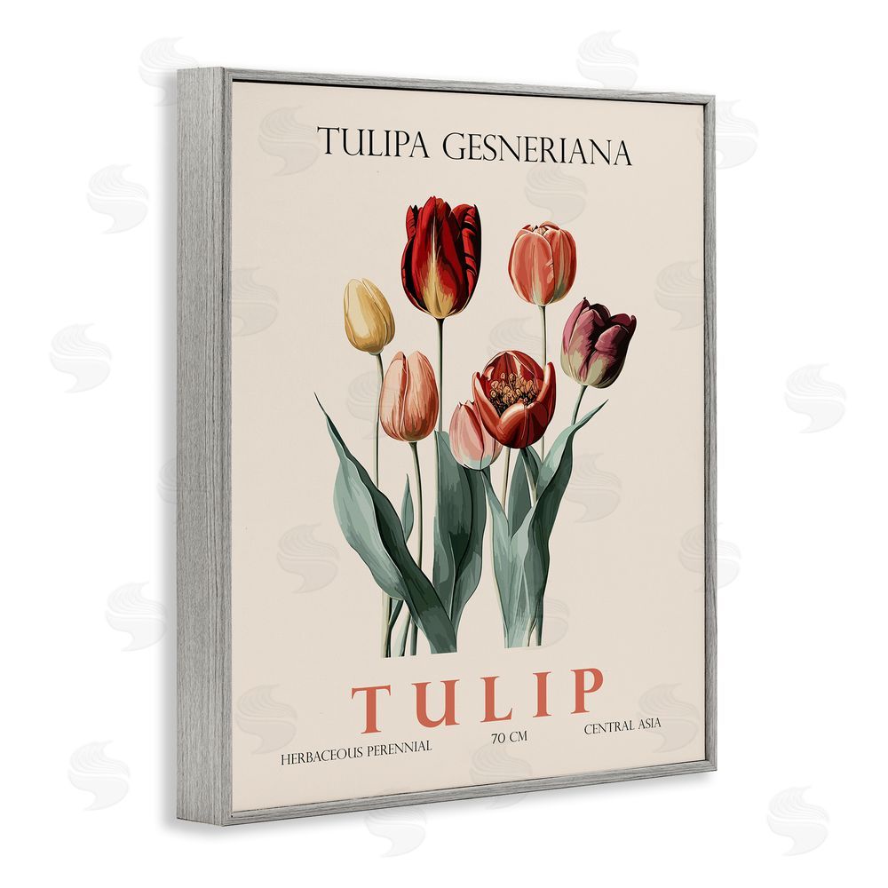 Christopher Giampietro Natural Tulip Bundle Gray Framed Giclee Wall Art Print