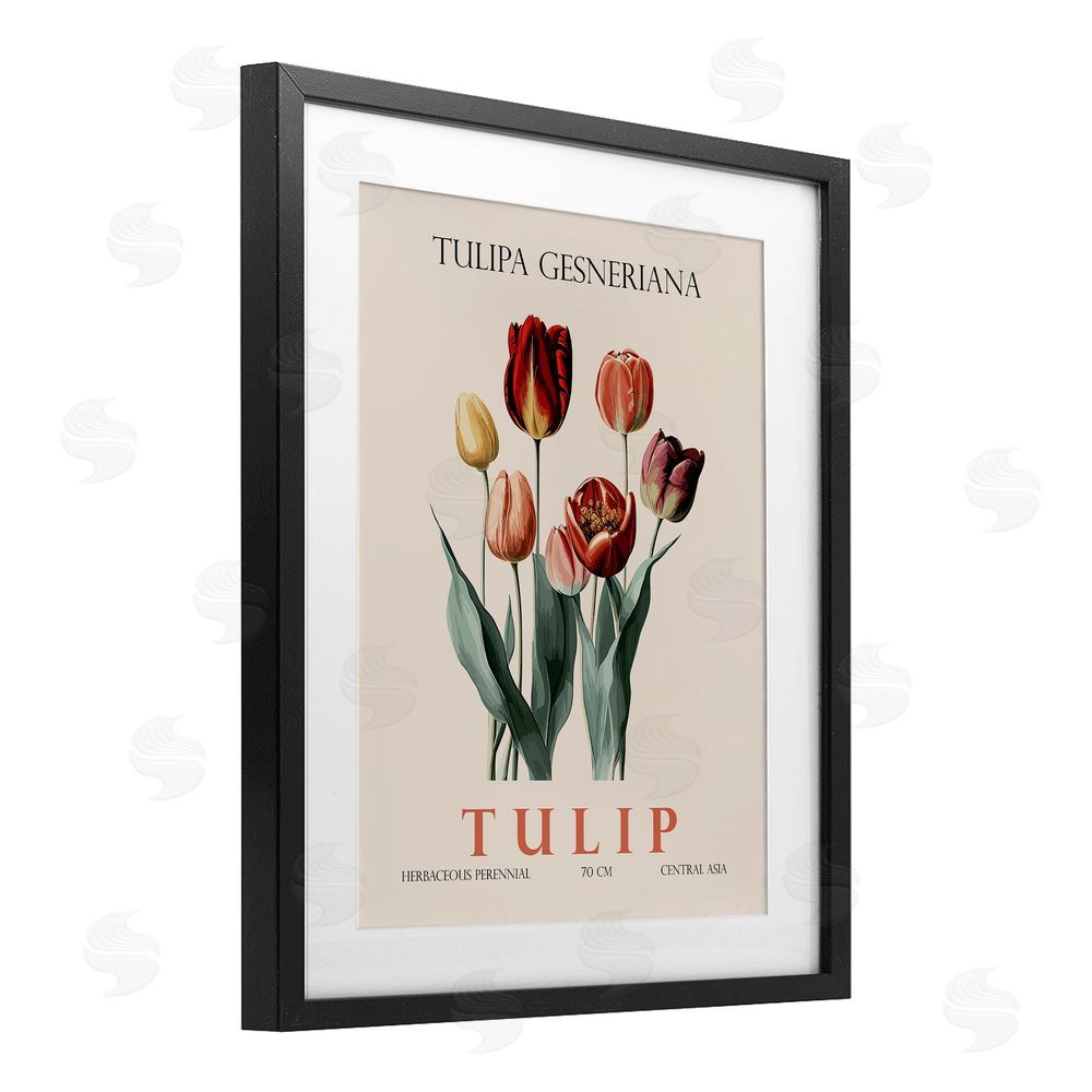 Christopher Giampietro Natural Tulip Bundle Black Framed Print Under Glass Wall Art