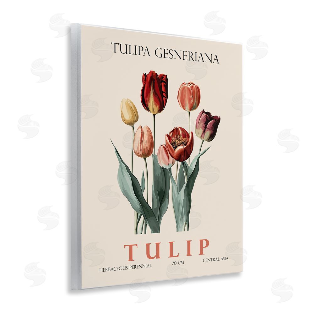 Christopher Giampietro Natural Tulip Bundle Wall Plaque Art Print