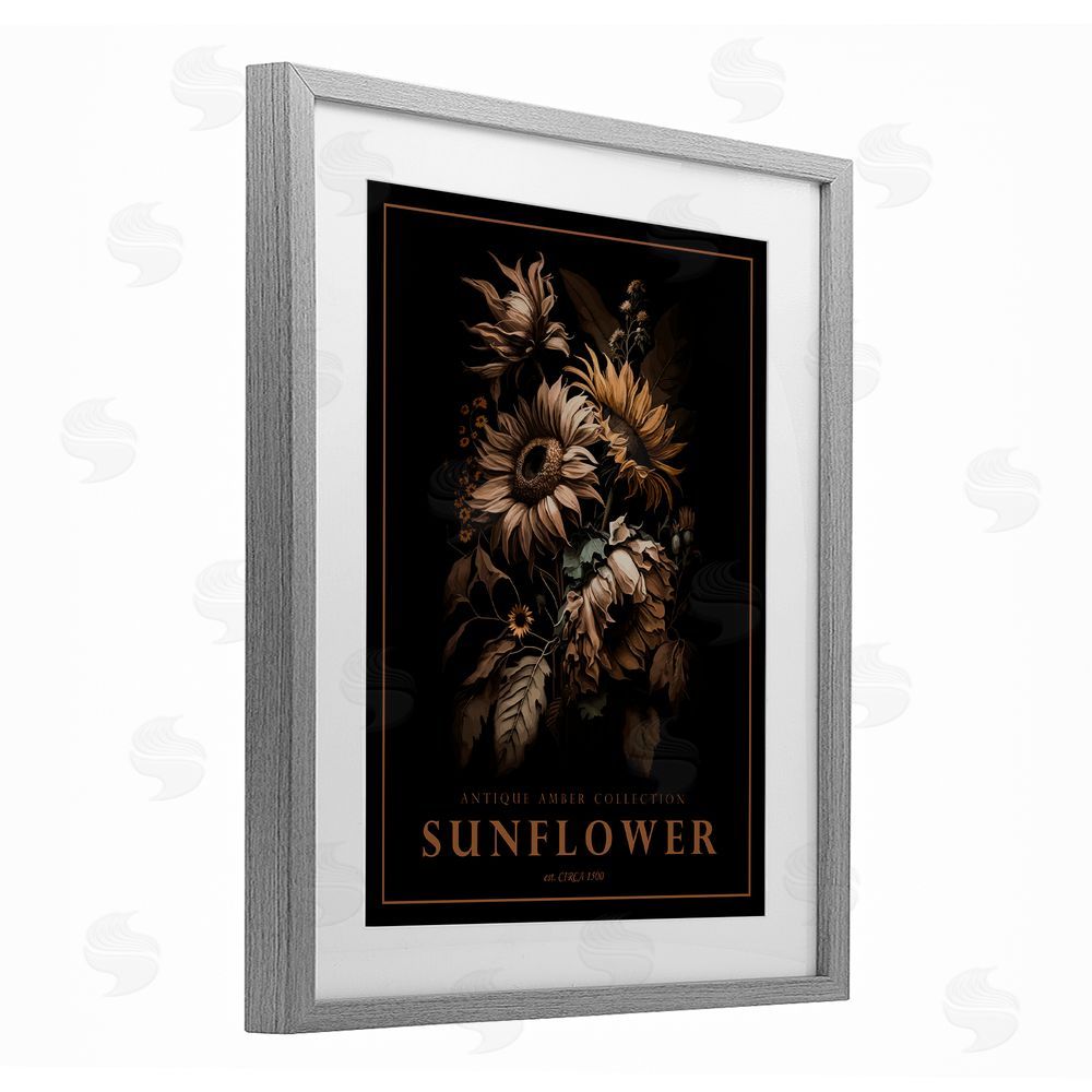 Christopher Giampietro Antique Sunflower Bushel Gray Framed Print Under Glass Wall Art