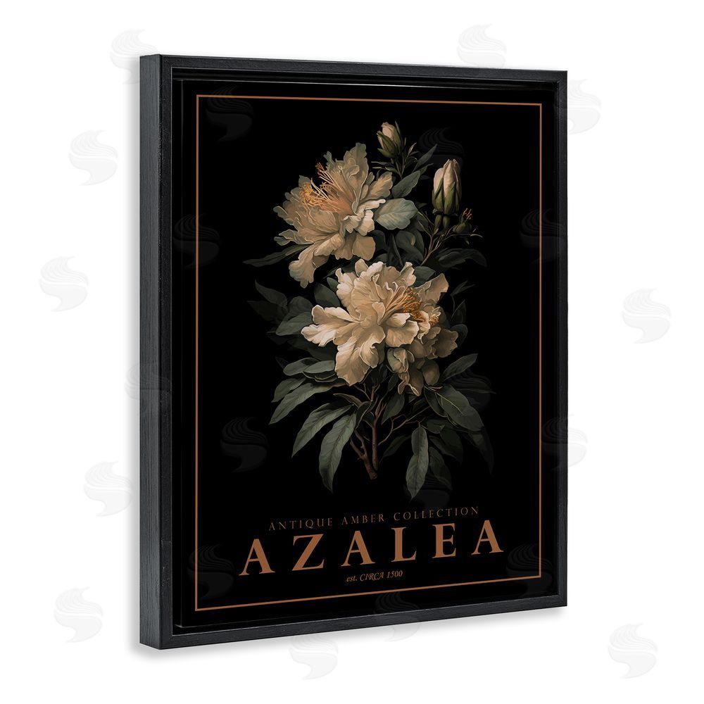 Christopher Giampietro Antique Azalea Bushel Black Floating Frame Canvas Wall Art Print