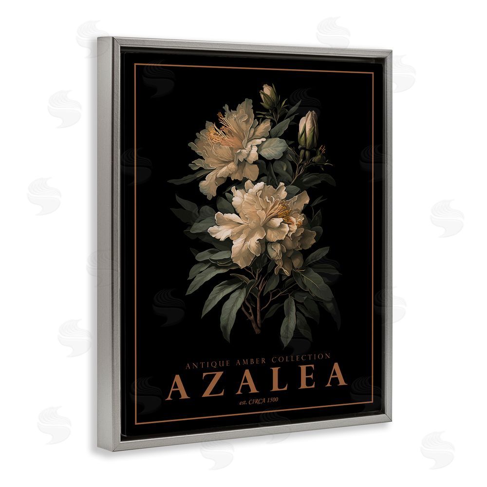 Christopher Giampietro Antique Azalea Bushel Gray Floating Frame Canvas Wall Art Print