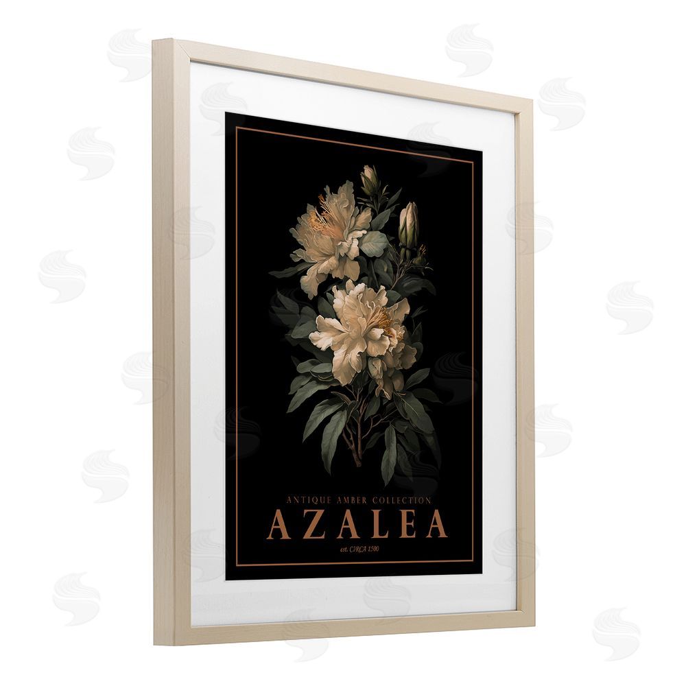 Christopher Giampietro Antique Azalea Bushel Birch Framed Print Under Glass Wall Art