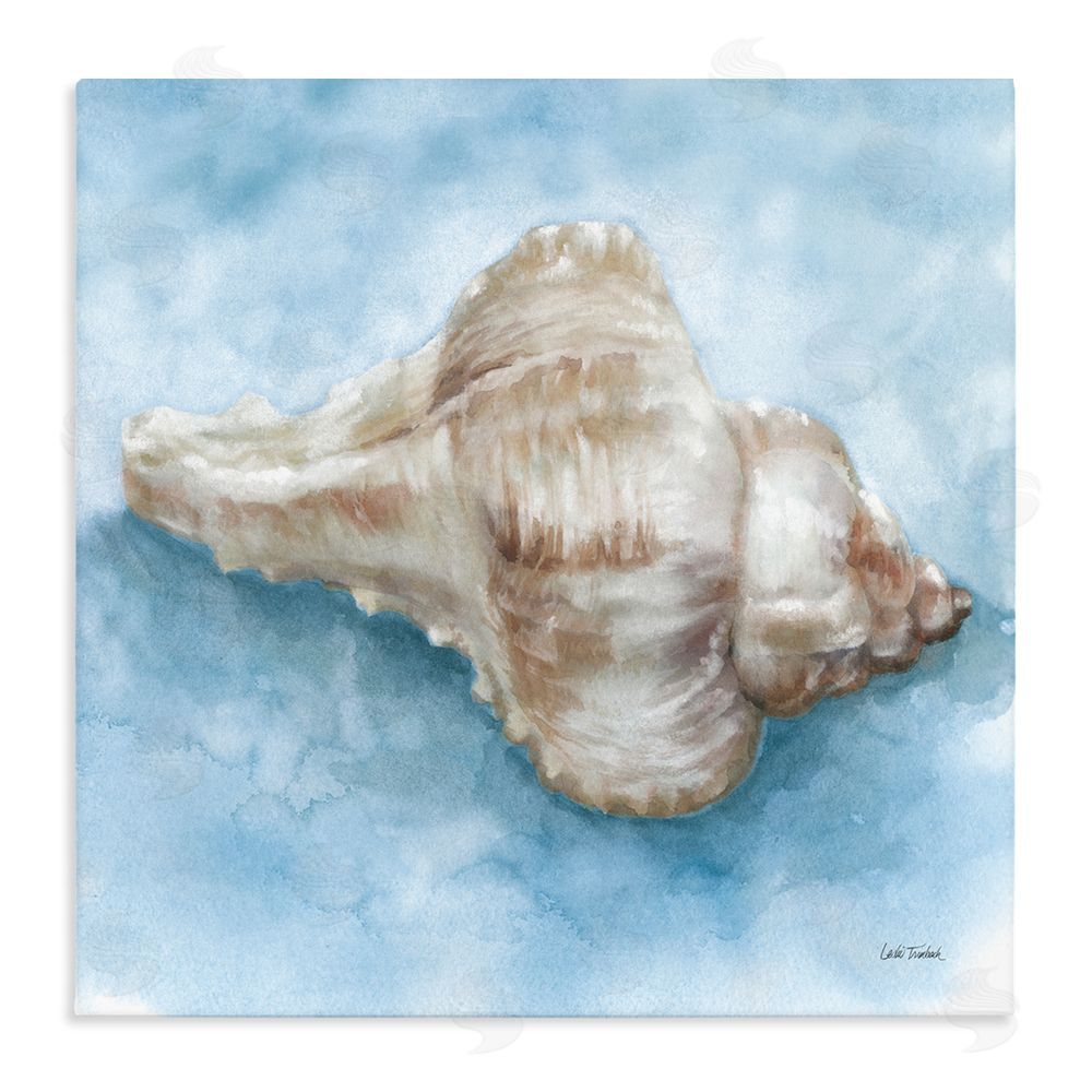 Leslie Trimbach Coastal Calm Conch Stretched Canvas Wall Art Print