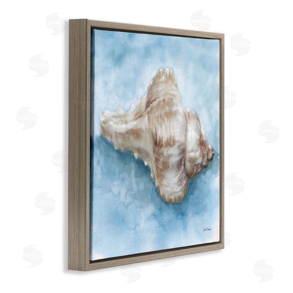 Leslie Trimbach Coastal Calm Conch Brown Floating Frame Canvas Wall Art Print