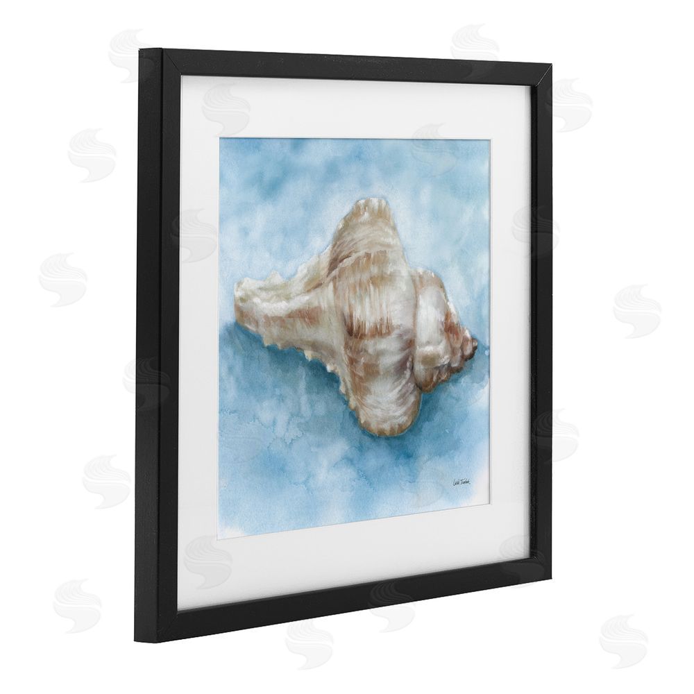Leslie Trimbach Coastal Calm Conch Black Framed Print Under Glass Wall Art