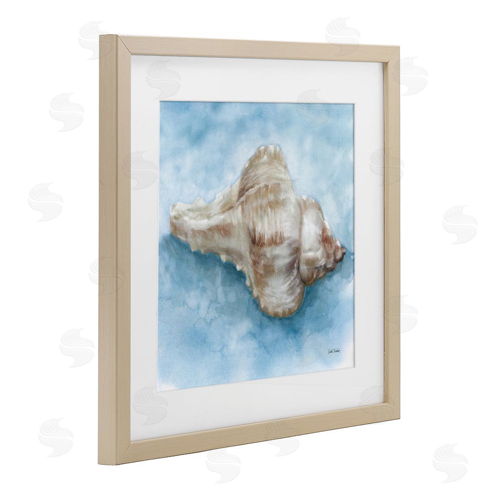 Leslie Trimbach Coastal Calm Conch Brown Framed Print Under Glass Wall Art
