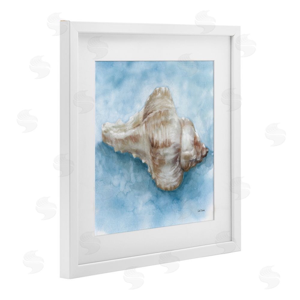 Leslie Trimbach Coastal Calm Conch White Framed Print Under Glass Wall Art