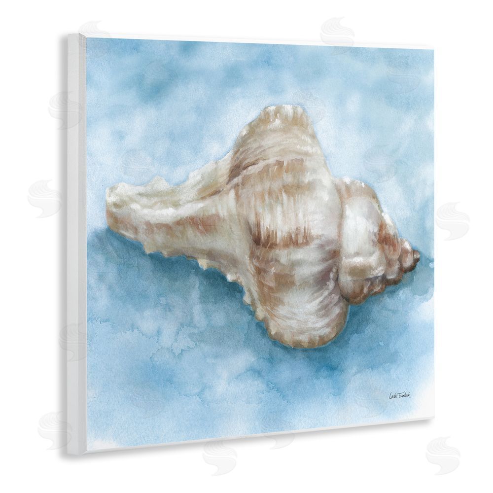 Leslie Trimbach Coastal Calm Conch Wooden Wall Plaque Art Print
