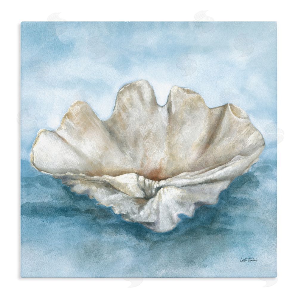 Leslie Trimbach Coastal Calm Scalloped Shell Stretched Canvas Wall Art Print