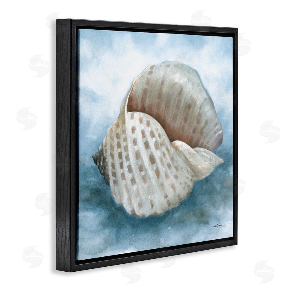 Leslie Trimbach Coastal Calm Spotted Shell Black Floating Frame Canvas Wall Art Print