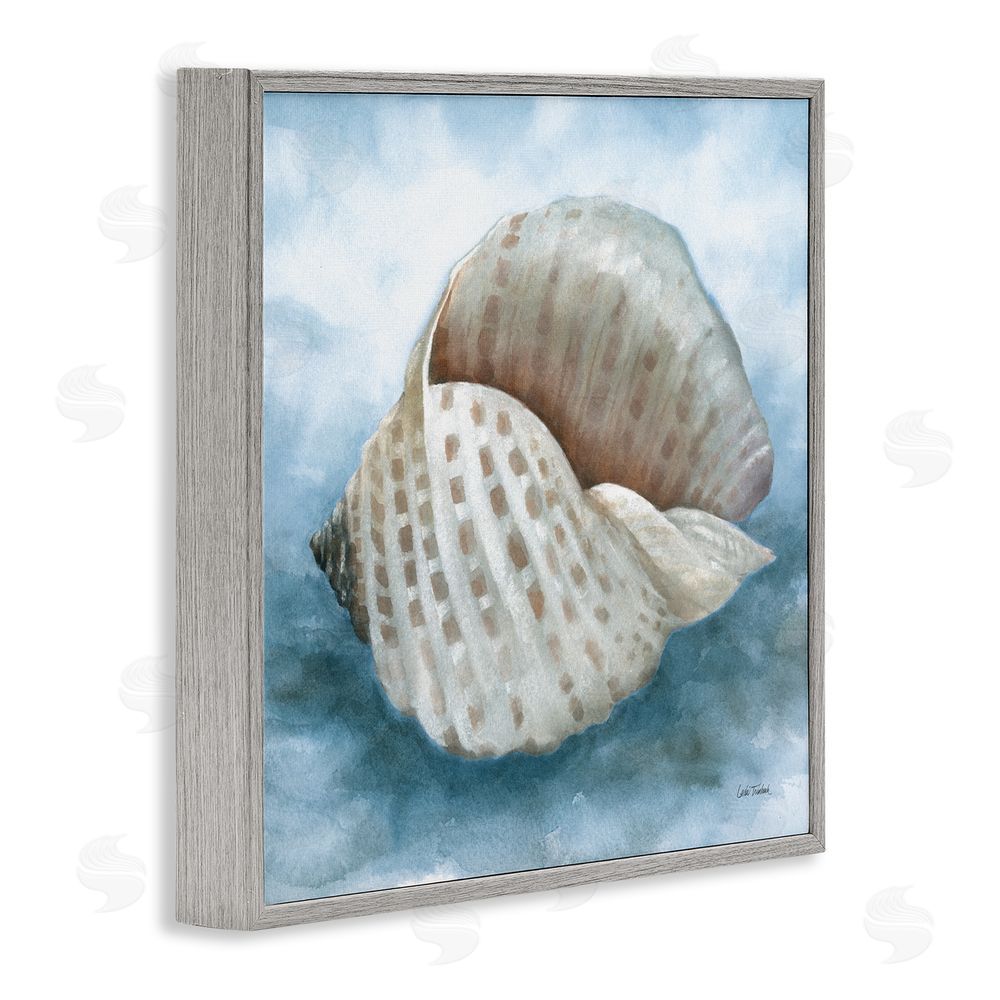 Leslie Trimbach Coastal Calm Spotted Shell Gray Framed Giclee Wall Art Print