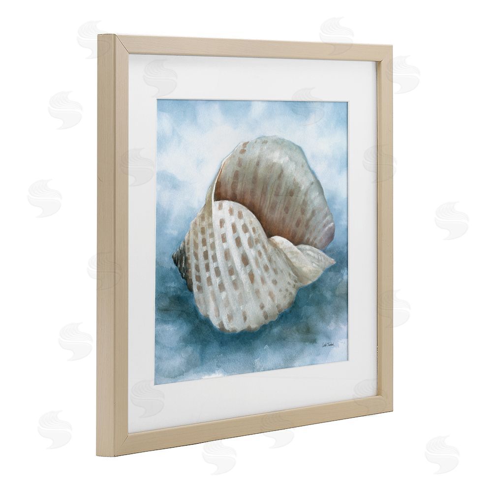 Leslie Trimbach Coastal Calm Spotted Shell Brown Framed Print Under Glass Wall Art