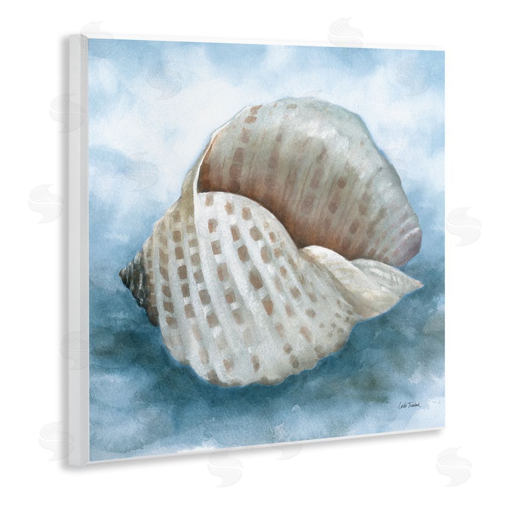 Leslie Trimbach Coastal Calm Spotted Shell Wooden Wall Plaque Art Print